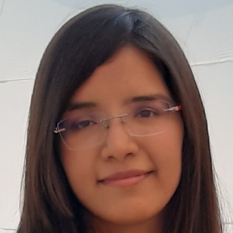 developer img
